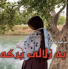دانلود رمان به زلالی برکه از سعیده براز