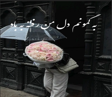 دانلود رمان به گمونم دل من رفته به باد از فاطمه ناصری