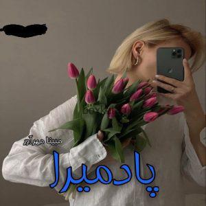 دانلود رمان پادمیرا از مبینا مهراور