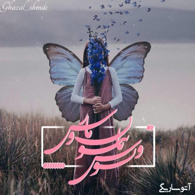 دانلود رمان ونوس پاپیون مارس از آتوسا ریگی