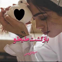 دانلود رمان بازگشت طیطو از سروناز روحی