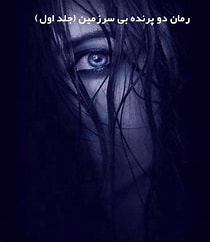 رمان دو پرنده بی سرزمین جلد اول از یگانه اولادی