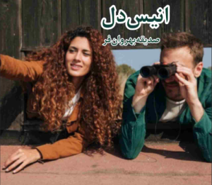 دانلود رمان انیس دل از صدیقه بهروان فر