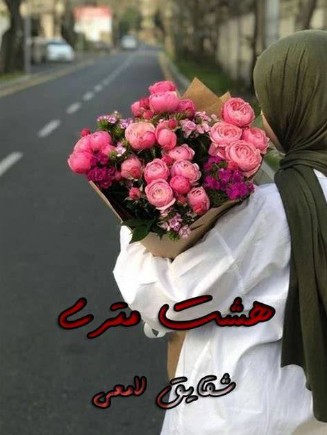 دانلود رمان هشت متری از شقایق لامعی