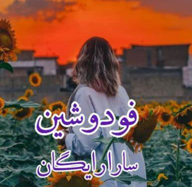دانلود رمان فودوشین از سارا رایگان