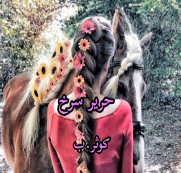 دانلود رمان حریر سرخ از کوثر ب
